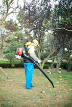 Load image into Gallery viewer, 52CC 2-Cycle Gas Backpack Leaf Blower with extention tube