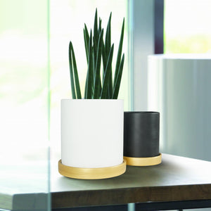 6 in. and 4.8 in. White and Black Ceramic Flower Pots with Drain Hole and Saucer (2-Pack)