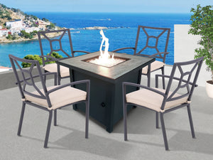 San Marino Outdoor Aluminum Dining Armchair with Cushion - Set of 2