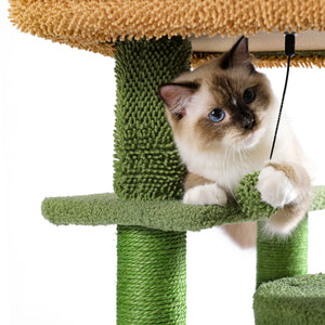Desert Cactus Cat Tree Ladder Multi Levels Condo