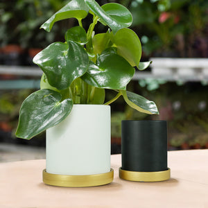 6 in. and 4.8 in. White and Black Ceramic Flower Pots with Drain Hole and Saucer (2-Pack)