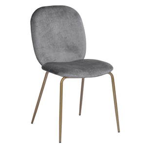 Velvet Side Chair/ Dinning Chair (Set of 2)