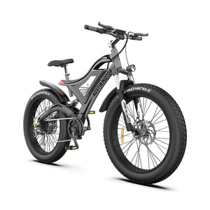 AOSTIRMOTOR 26" 750W Electric Bike Fat Tire 48V 15AH Removable Lithium Battery for Adults S18亚马逊禁售