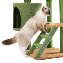Load image into Gallery viewer, Desert Cactus Cat Tree Ladder Multi Levels Condo
