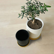 Load image into Gallery viewer, 6 in. and 4.8 in. White and Black Ceramic Flower Pots with Drain Hole and Saucer (2-Pack)
