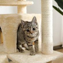 Load image into Gallery viewer, Cat Tree 56 Inches Cat Tower for Multiple Cats and Kittens with Super Large Perch Double Condo Hammock and Scratching Post-Beige
