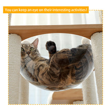 Load image into Gallery viewer, Lightweight and ModernTransparent Space Acrylic Nest for Cats napping
