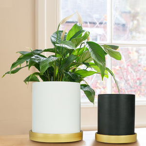6 in. and 4.8 in. White and Black Ceramic Flower Pots with Drain Hole and Saucer (2-Pack)