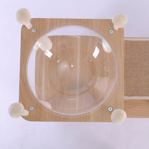 Lightweight and ModernTransparent Space Acrylic Nest for Cats napping